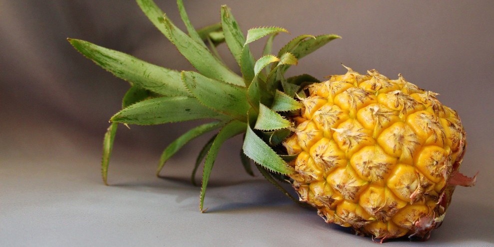 Manfaat Nanas Madu untuk Kesehatan Tubuh yang Jarang Diketahui