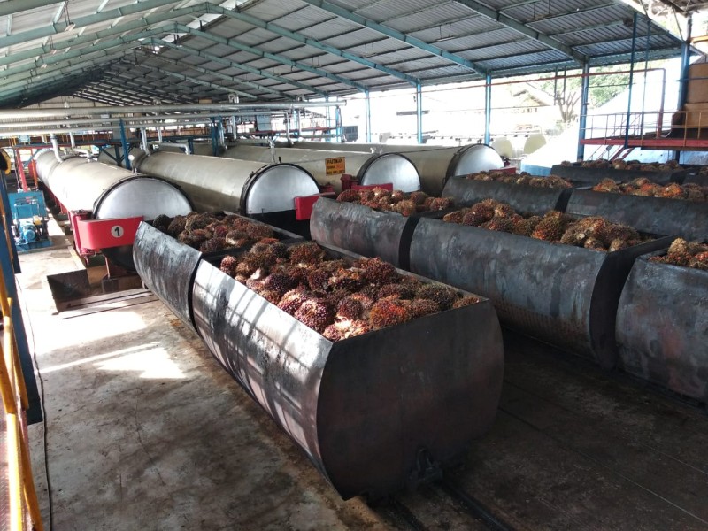 Industri Sawit Didorong Genjot Produksi Biodiesel untuk Tutupi Defisit BBM dan Kurangi Beban APBN