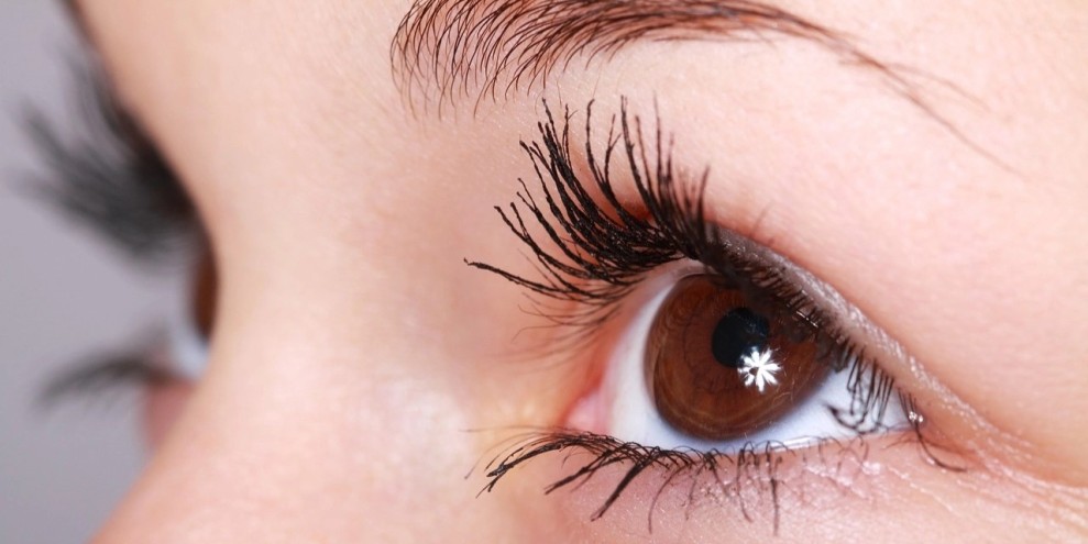 6 Cara Alami Menebalkan Alis Dan Bulu Mata Lebih Efektif