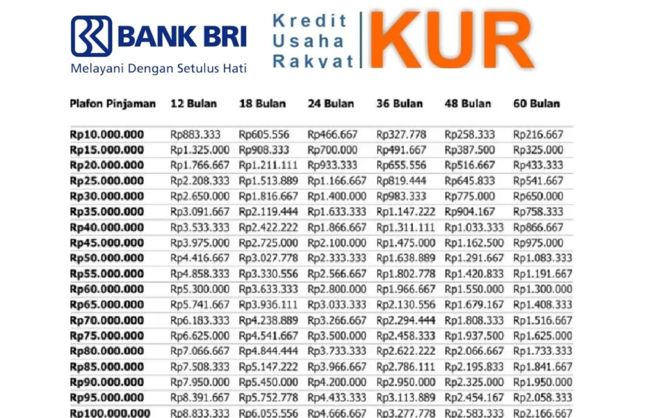 BRI Permudah Pelaku UMKM Merintis Usaha dengan Pinjaman KUR Online hingga Rp100 Juta di 2025