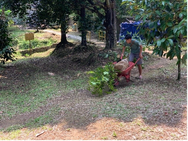 Pengayaan vegetasi taman kehati lido