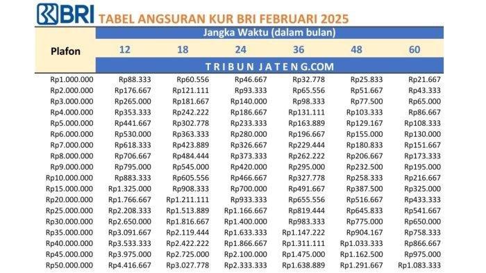 KUR BRI 2025: Solusi Tambahan Modal Usaha dengan Proses Pengajuan yang Mudah dan Cepat