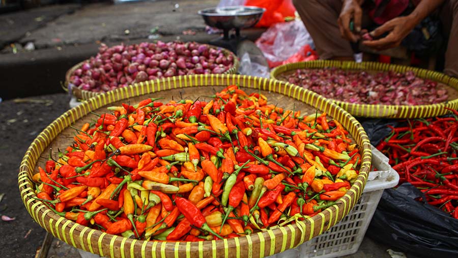 Update Harga Sembako Hari Ini: Cabai, Bawang, dan Daging Turun