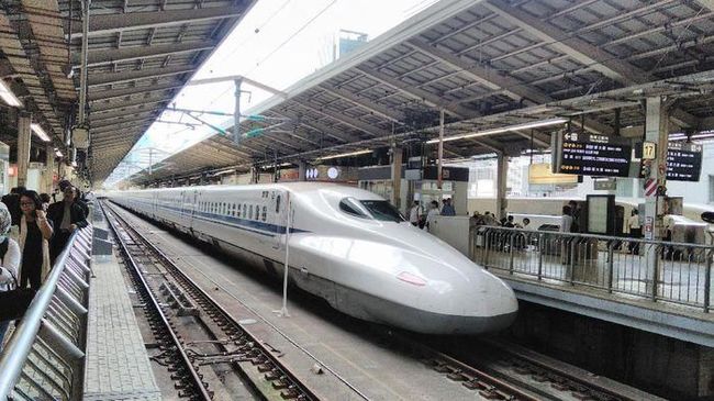 Insiden Ular Tersangkut Picu Pemadaman Listrik dan Gangguan Kereta Cepat Shinkansen Jepang