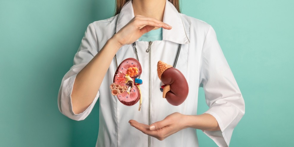 Tips Menjaga Kesehatan Ginjal agar Tetap Optimal