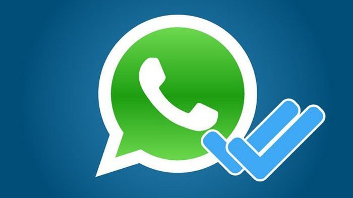 Tips Mudah Mengatur Privasi Chat WhatsApp Tanpa Centang Biru