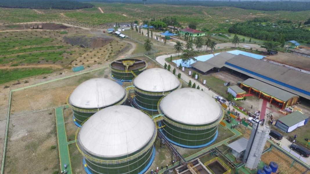 Bio CNG dari Limbah Sawit, Peluang Emas Energi Bersih Indonesia