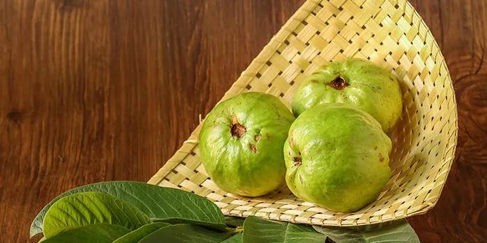 Manfaat Buah Jambu Biji dalam Meningkatkan Imunitas dan Mencegah Penyakit