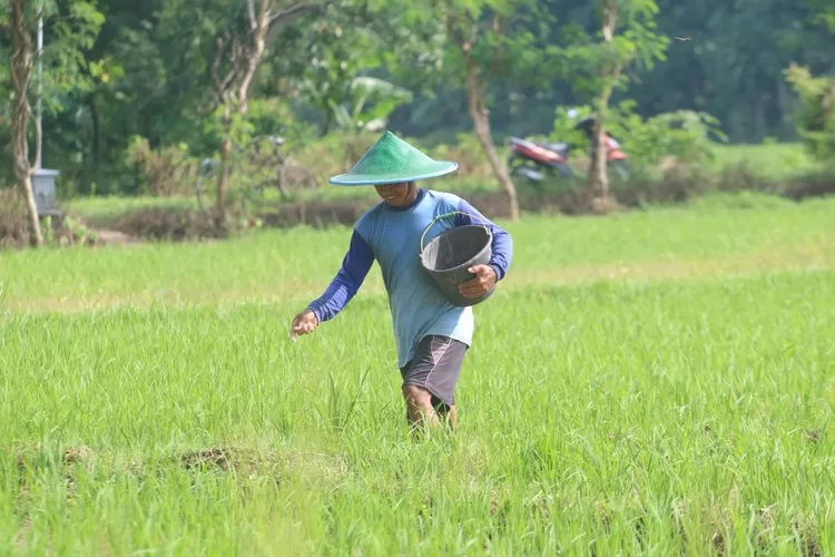 Pupuk Indonesia Mudahkan Petani Lewat Digitalisasi