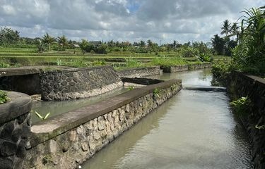Kementerian PU Fokus Rehabilitasi Irigasi Demi Kedaulatan Pangan Nasional