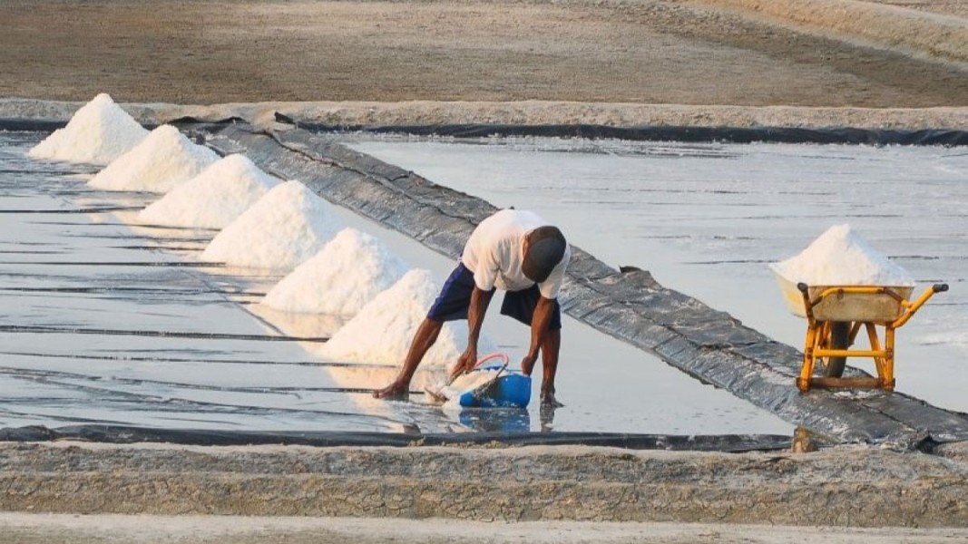 KKP Optimalkan Pemantauan dan Pengawasan Untuk Tingkatkan Standar Produksi Garam