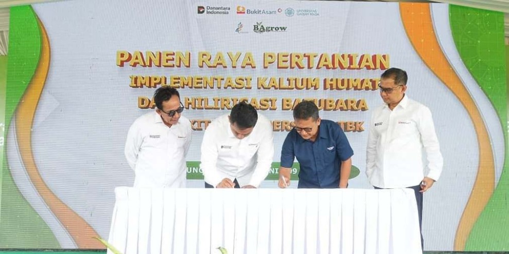 PT Bukit Asam Panen Raya Kalium Humat Perkuat Ketahanan Pangan