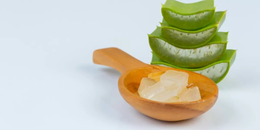 Lidah Buaya Dinilai Potensial Sebagai Obat Alzheimer Masa Depan