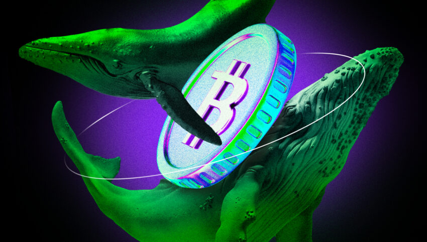 Crypto Whale Borong 3 Altcoin Ini untuk Potensi Profit di Pekan Pertama Maret 2025
