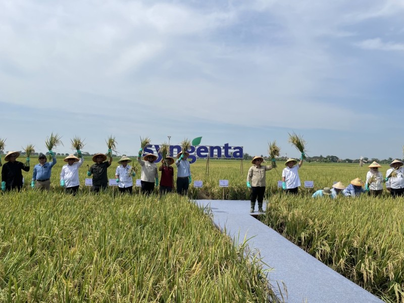 Petani Muda Didorong Gunakan Teknologi Pertanian Presisi