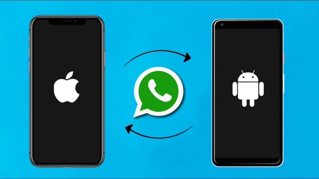 Cara Backup Chat WhatsApp di iPhone dan Android dengan Mudah