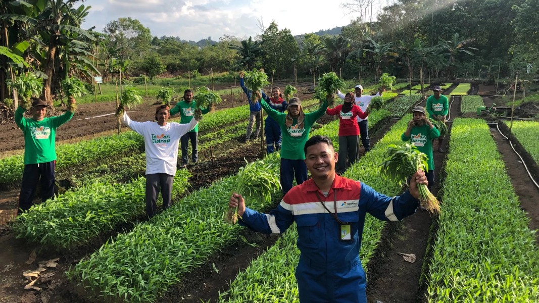 Program Cita Sembada Pertagas Dongkrak Produktivitas Pertanian dan Jaga Lingkungan Desa