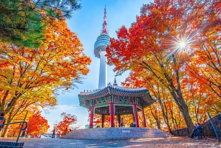 10 Destinasi Wisata Korea Selatan yang Wajib Dikunjungi