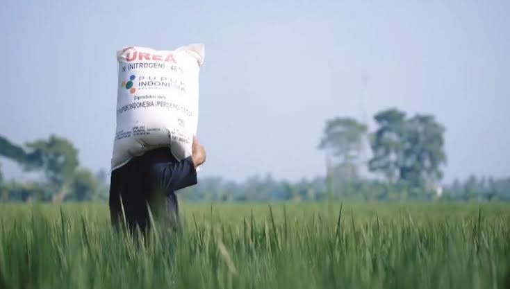 Petani Siap Nikmati Pupuk Subsidi Lebih Terjangkau Mulai 2025