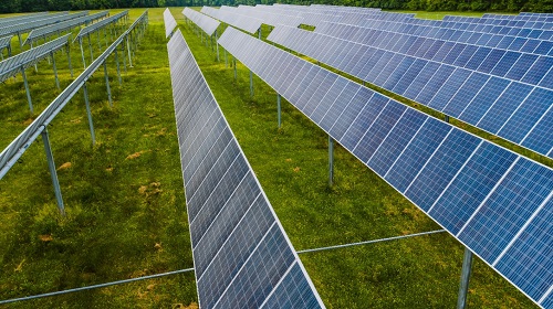 Energi Hijau PLN NP Tumbuh Lewat Inovasi