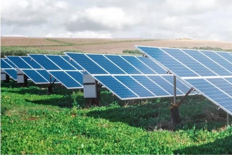 KEEN Raih Kontrak PLTS Tobelo Rp423 Miliar, Perkuat Energi Terbarukan