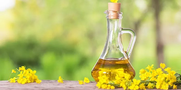 Pilihan 3 Minyak Sehat untuk Menjaga Kesehatan Jantung Harian