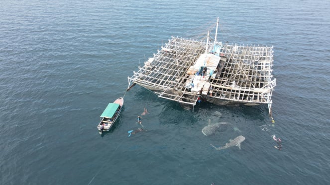 PIS Sukses Tekan Emisi Karbon Sektor Logistik Laut hingga 51.000 Ton CO2e di 2024, Lampaui Target Nasional