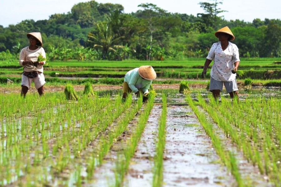 HKTI Dorong Kesejahteraan Petani Sesuai Visi Prabowo