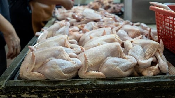 Update Harga Sembako Jogja 11 Februari 2026: Daging Ayam dan Cabai Melejit