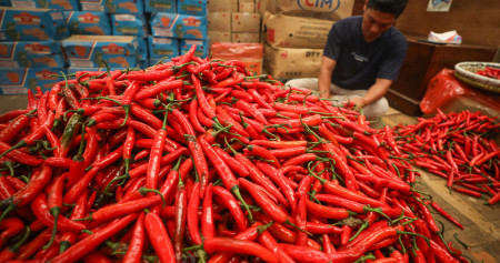 Cabai dan Ayam Dorong Inflasi Volatile Food September