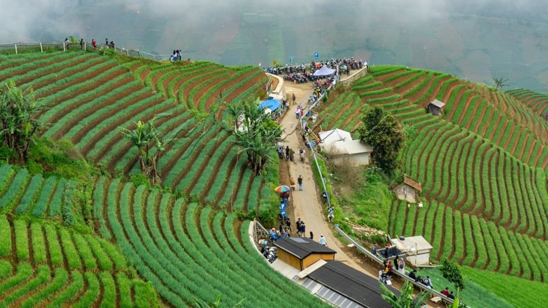 10 Destinasi Viral Majalengka dengan Pesona Alam Memukau untuk Liburan Seru
