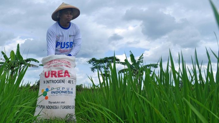 Pemkab Purbalingga Permudah Akses Pupuk Subsidi: Petani Cukup Tunjukkan KTP