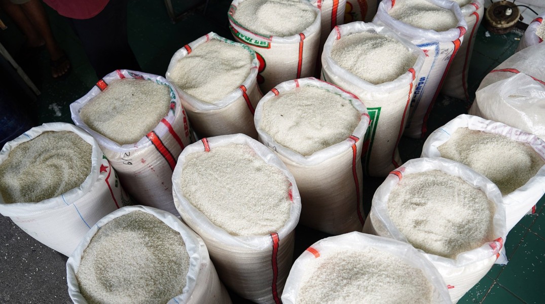 Update Terkini Harga Beras Stabil, Pangan Nasional Terkendali Meski Cabai Naik