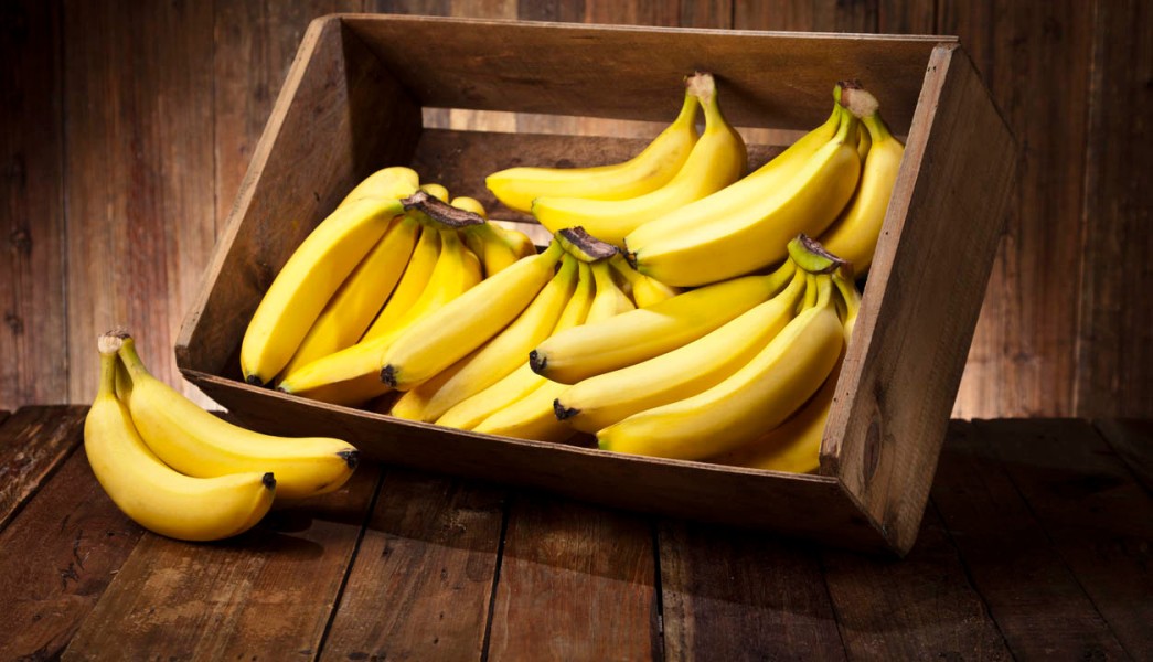 Makanan Sehat yang Terbukti Ampuh Meningkatkan Stamina Tubuh Secara Alami