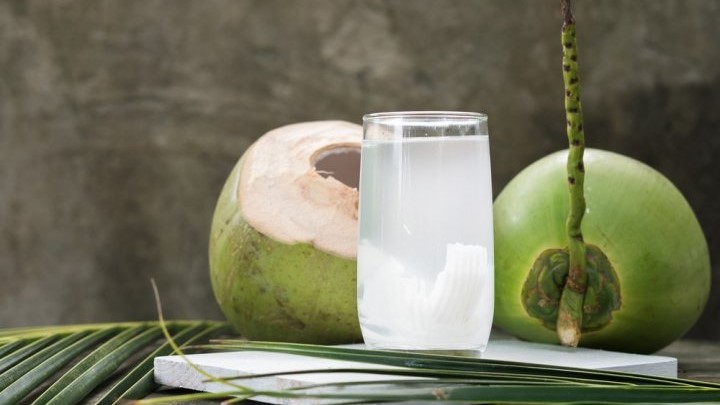 Manfaat Air Degan Segar untuk Keseimbangan Elektrolit Puasa