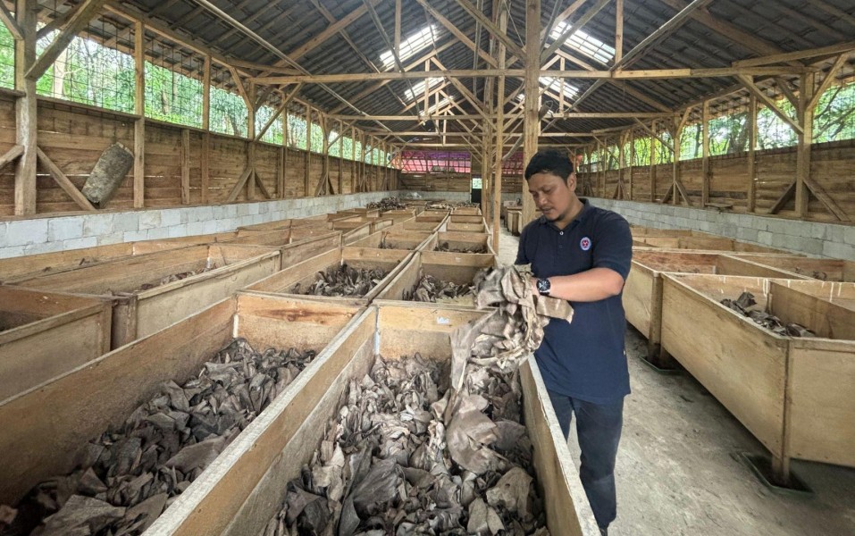 Program Jangkrik BOS Indocement Wujudkan Ekonomi Sirkular di Lahan Pascatambang