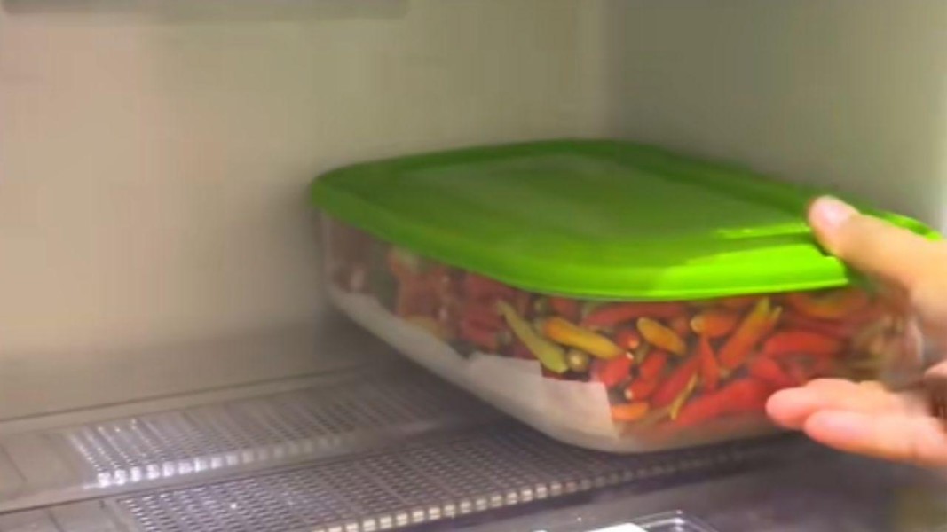 Cara Tepat Menyimpan Cabai agar Segar dan Tahan Lama