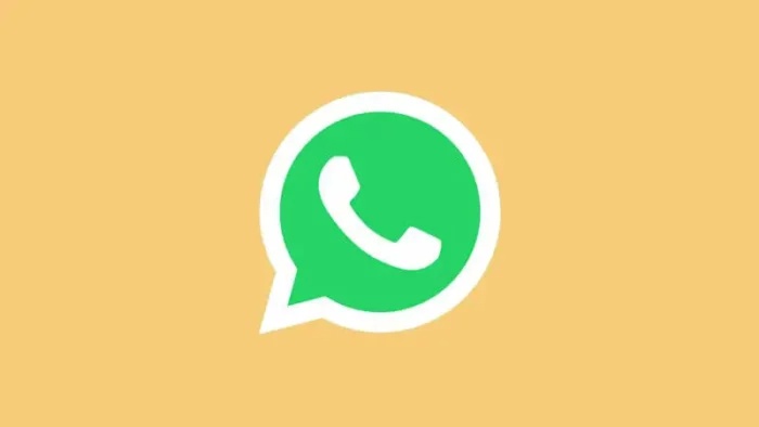 Cara Kirim WhatsApp Tanpa Perlu Simpan Nomor