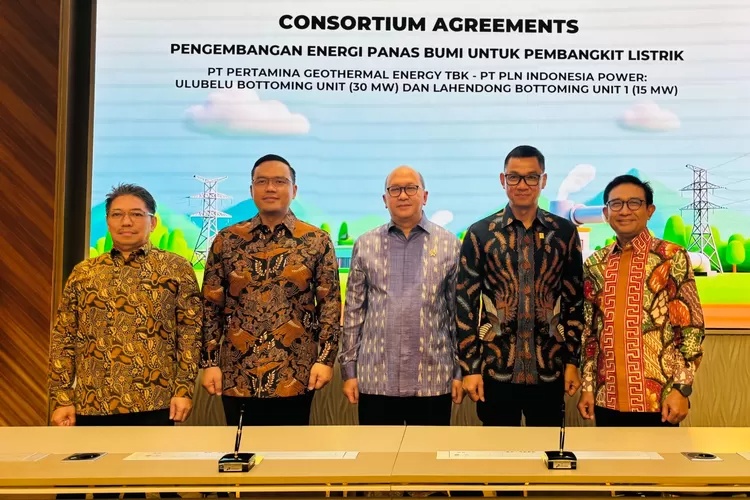 Danantara Dorong Kolaborasi Energi Panas Bumi