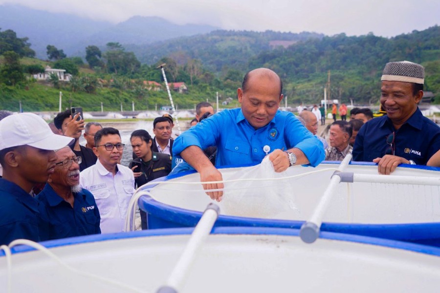 Hatchery Udang Swasta Perkuat Mutu Benih dan Ekspor Indonesia