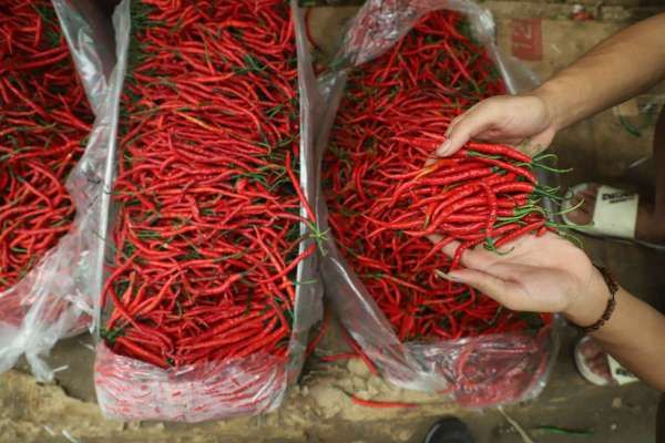 Harga Pangan Akhir Pekan Turun Naik, Cabai Melemah Minyak Goreng Menguat Kembali