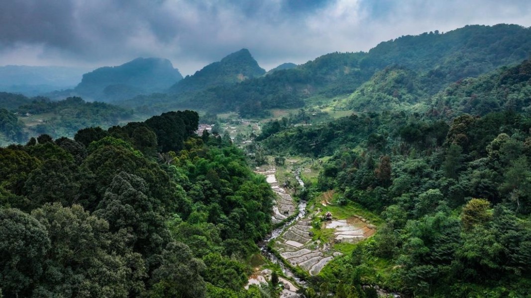 Langkah Strategis MIND ID Pulihkan Ekosistem Lahan Bekas Tambang Bangka Belitung