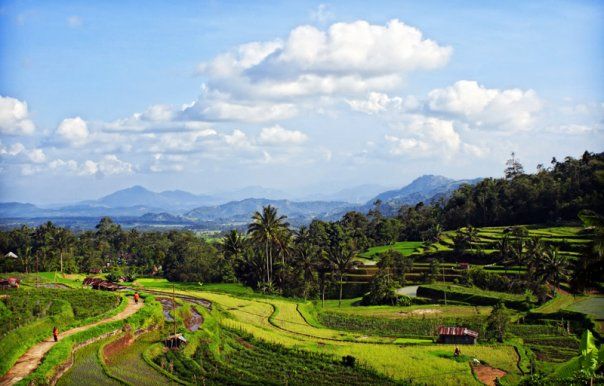 Pesona Tenang Wisata Alam Tabek Patah