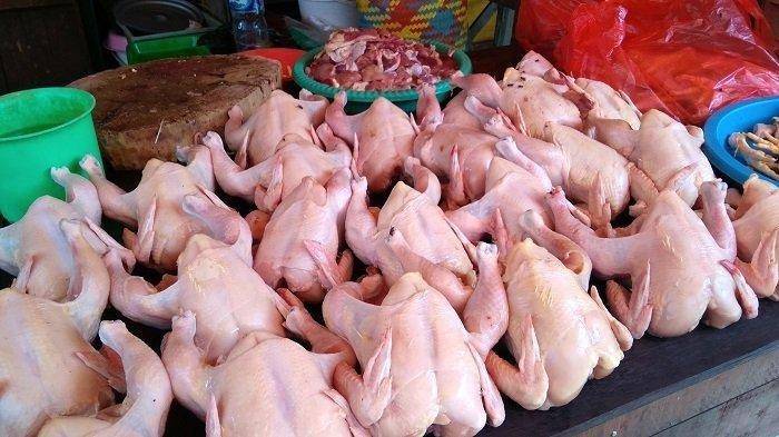 Pengendalian Harga Daging Ayam Ras Menjelang Idul Fitri Terkendali