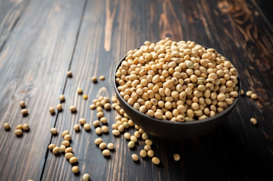 Kedelai Kaya Protein Membantu Penurunan Berat Badan Secara Alami