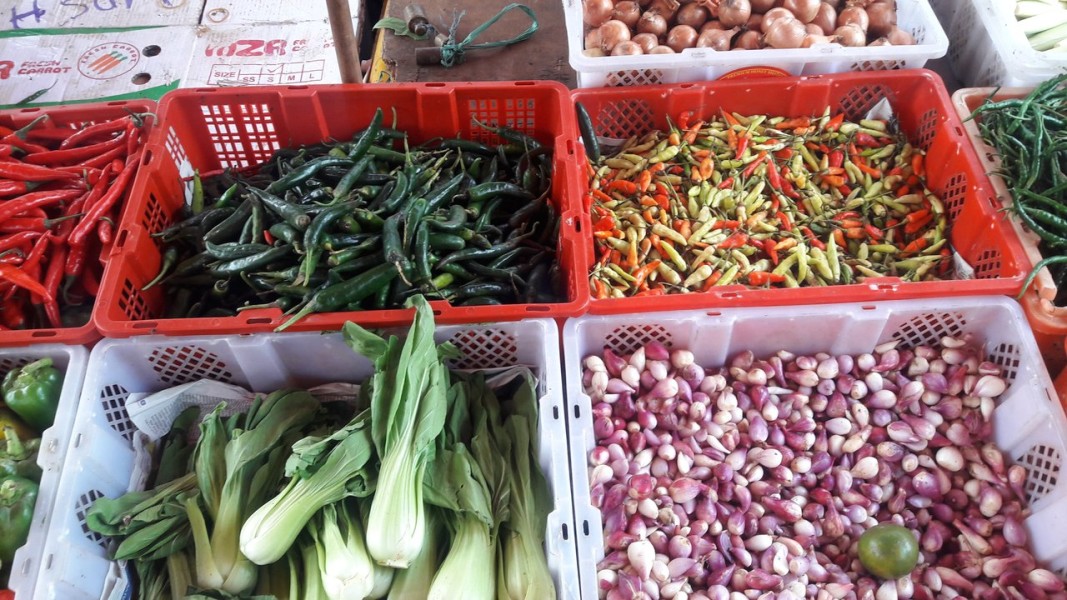 Harga Pangan Hari Ini 2026 Cabai Rawit dan Ayam Ras Masih Tinggi Nasional