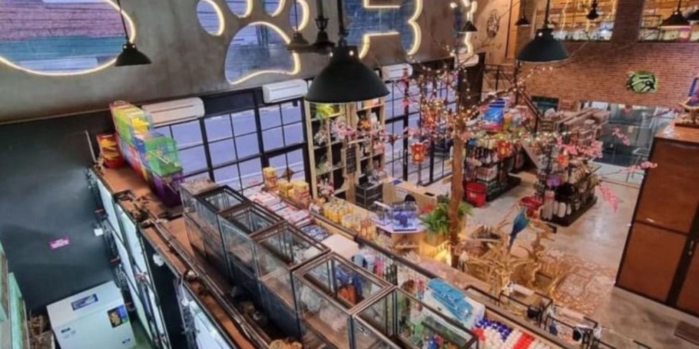 Rincian Modal Usaha Pet Shop untuk Pemula hingga Perkiraan Keuntungan