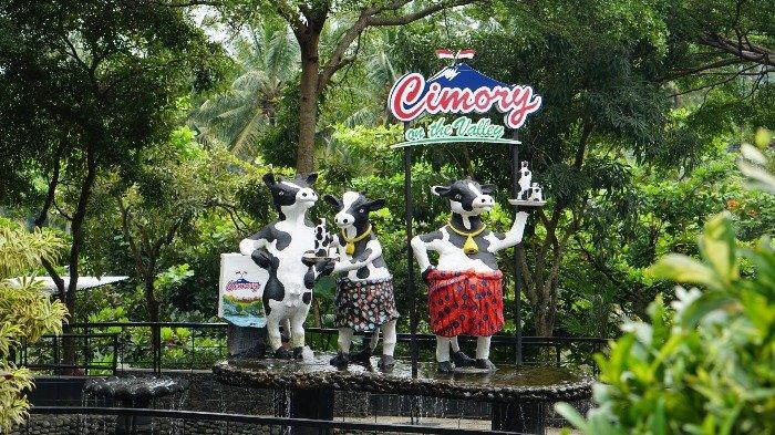 Liburan Edukatif Keluarga di Cimory Dairyland On The Valley Semarang yang Wajib Dicoba