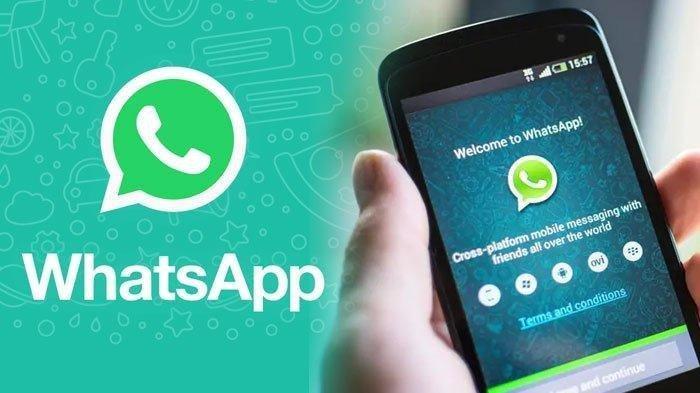 Cara Mengganti Tema Chat pada WhatsApp di Android dan iPhone Bagi Pengguna Indonesia