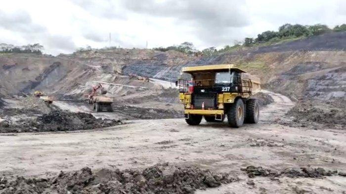Sektor Pertambangan dan Penggalian di Kaltim Menjadi Kontributor Utama Penyerapan Tenaga Kerja, Tembus 46.002 Orang